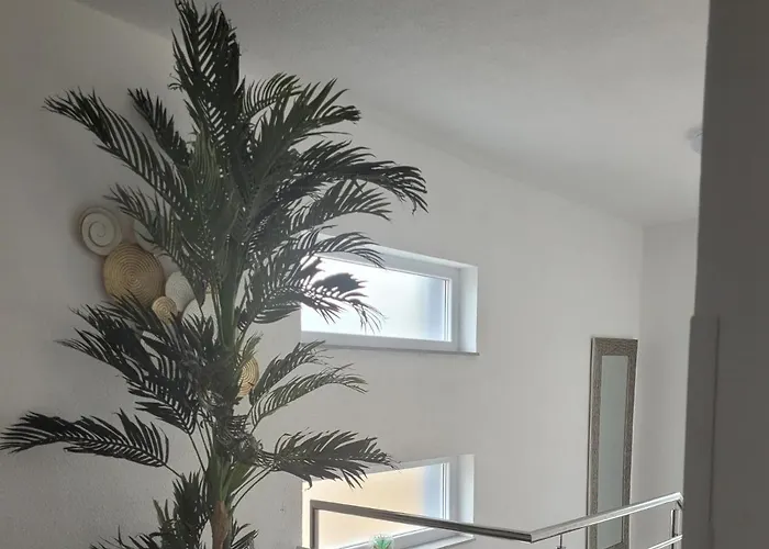 Baraba 아파트 마슬레니차