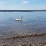 Baraba Maslenica