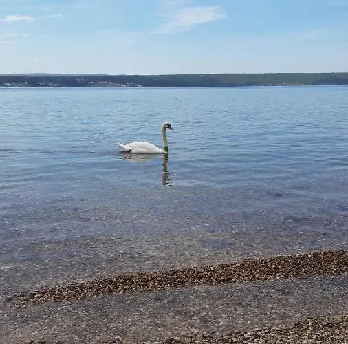 Baraba Масленица